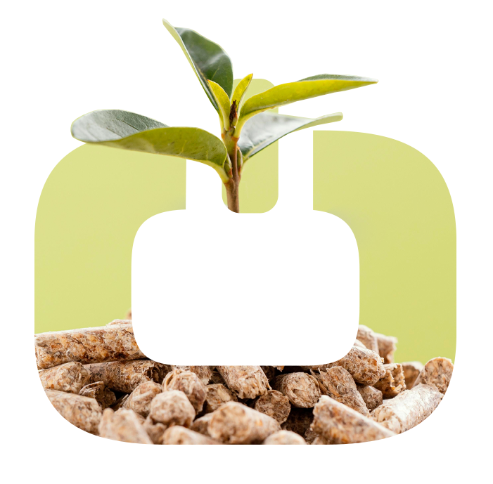 Prodesa Grupo: proyectos llave en mano