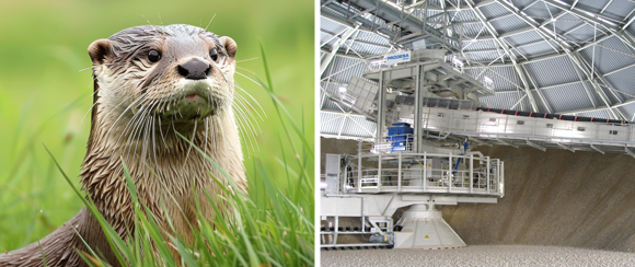 Apiladoras-Reclamadoras