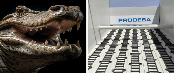 Tolvas de alimentación